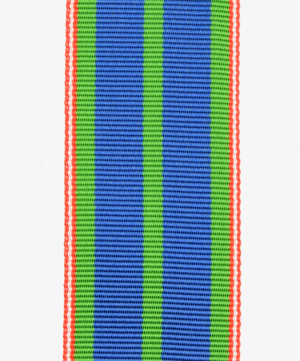 Service medal of the ÖASG Austrian Albert Schweitzer Society (258)